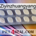 Ziyinzhuangyang 08
